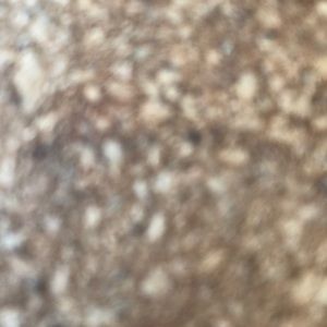 Meet your Posher, Yan